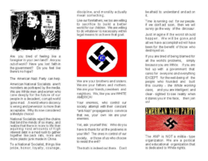 page 1 of The American Nazi Party flyer